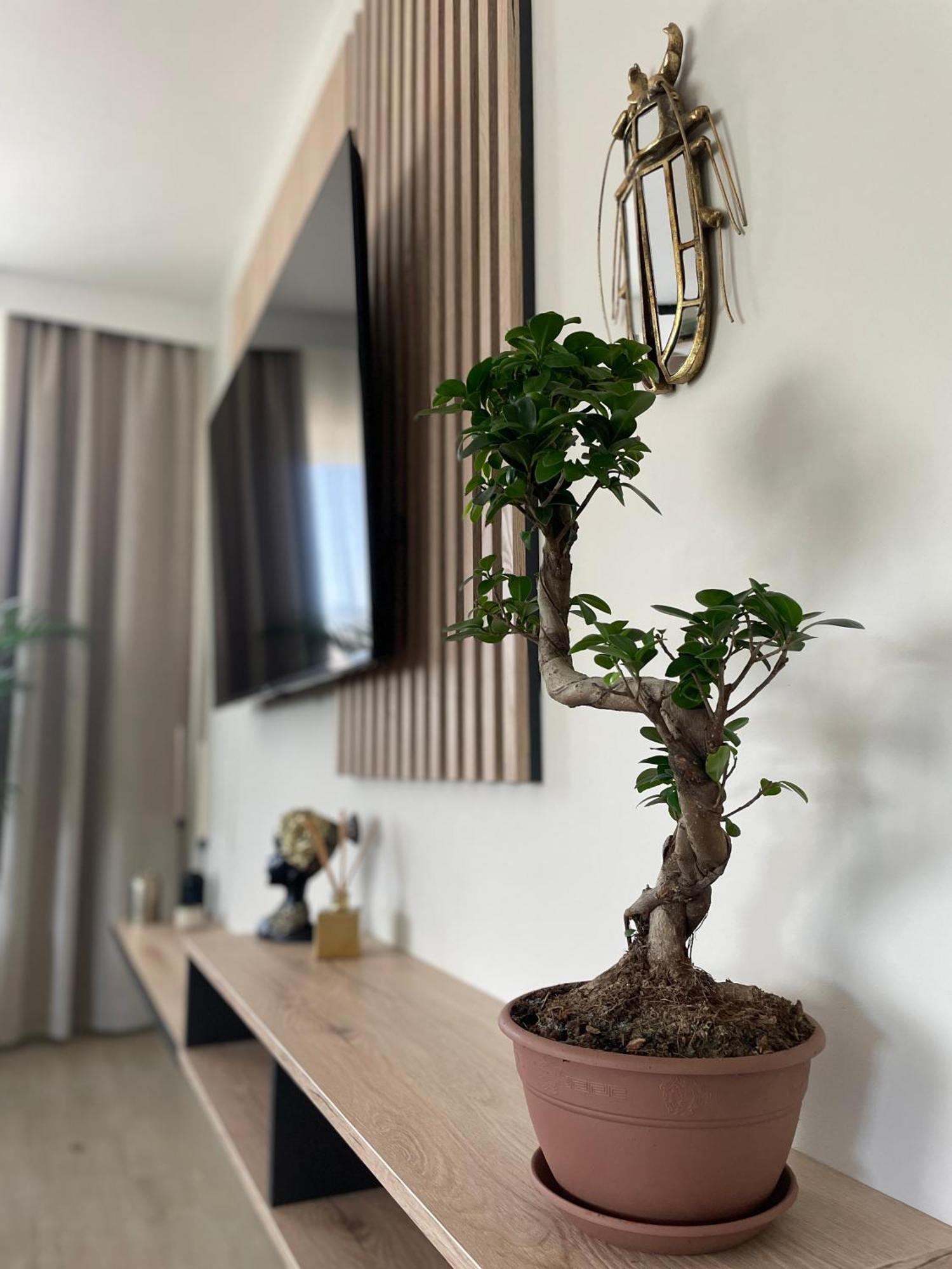 Apartament 13 Кельце Экстерьер фото